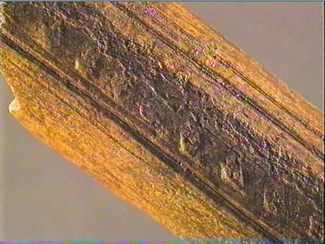 Baguette demi-ronde_5