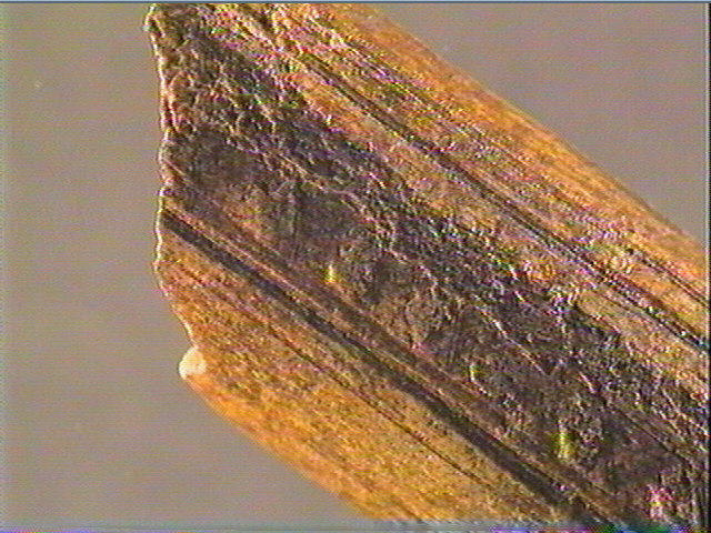 Baguette demi-ronde_6
