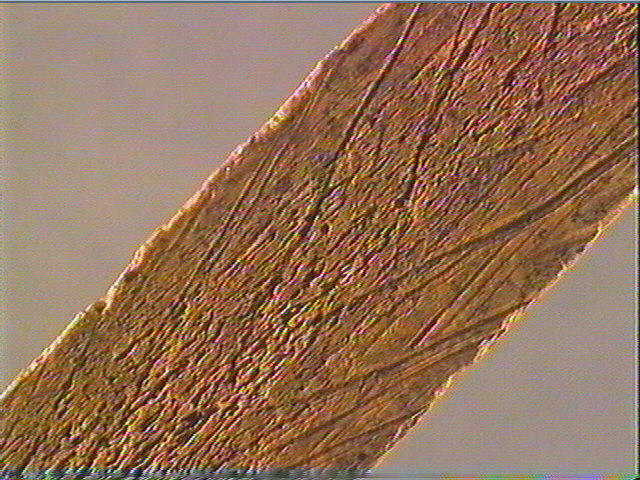 Baguette demi-ronde_5