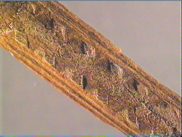 Baguette demi-ronde_3