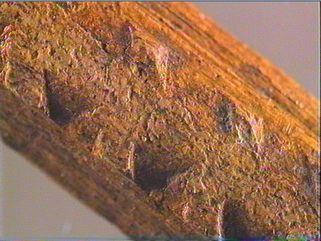 Baguette demi-ronde_5