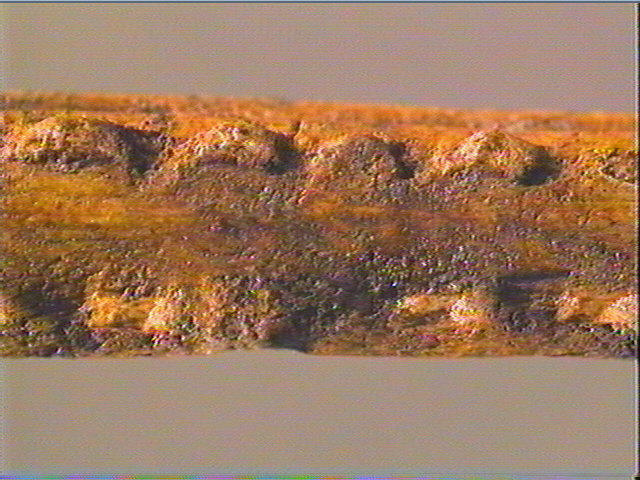 Baguette demi-ronde_3