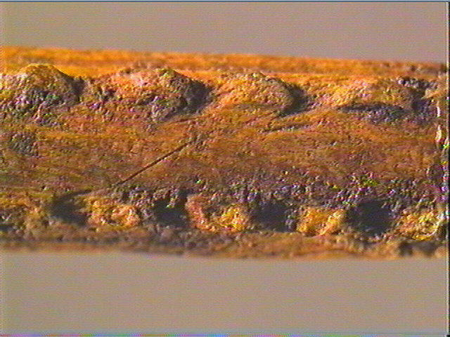 Baguette demi-ronde_4