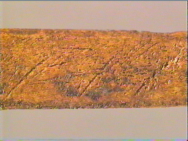 Baguette demi-ronde_5