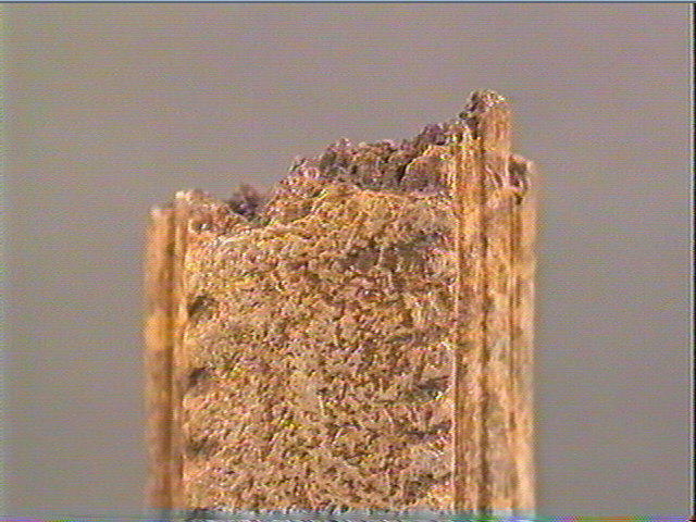 Baguette demi-ronde_1