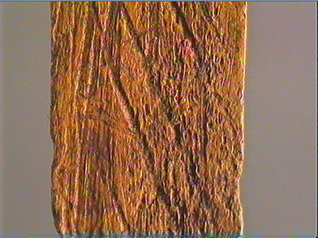 Baguette demi-ronde_6