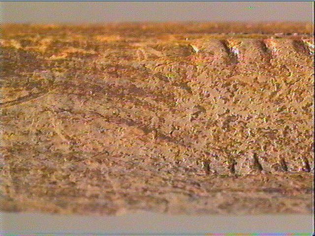 Baguette demi-ronde_3