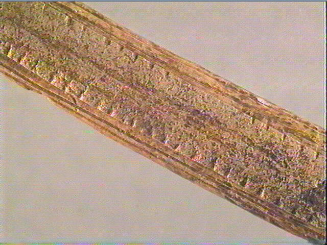 Baguette demi-ronde_2