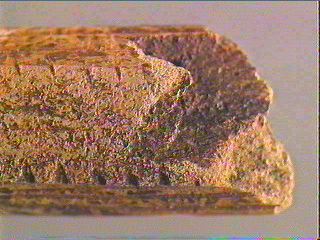Baguette demi-ronde_3