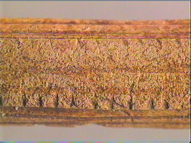 Baguette demi-ronde_5