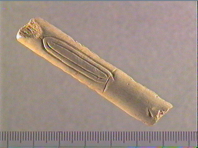 Baguette demi-ronde_0