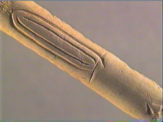 Baguette demi-ronde_1