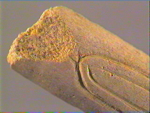 Baguette demi-ronde_6