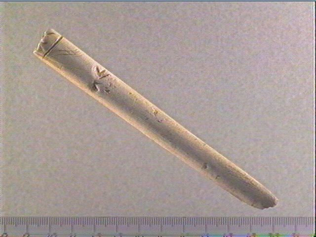 Baguette demi-ronde_0
