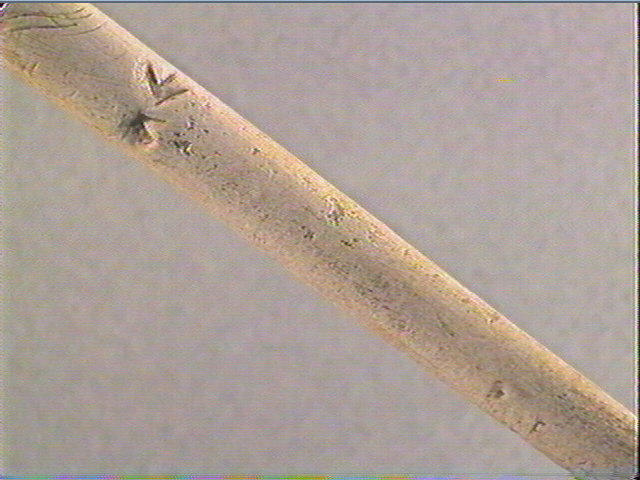 Baguette demi-ronde_2