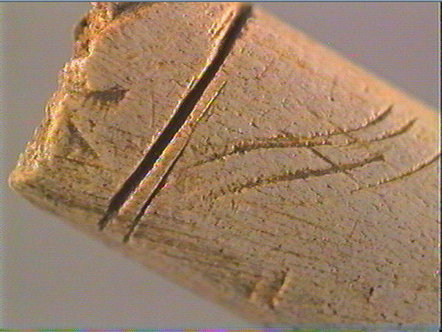 Baguette demi-ronde_3