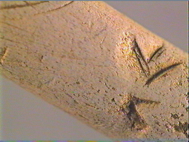 Baguette demi-ronde_4