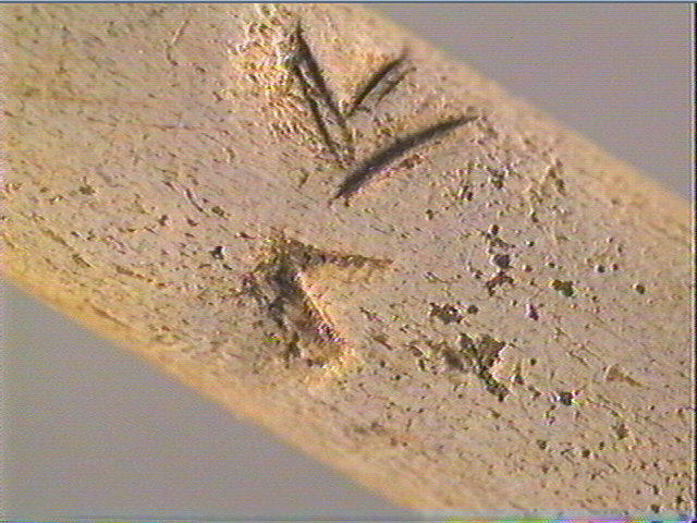 Baguette demi-ronde_5