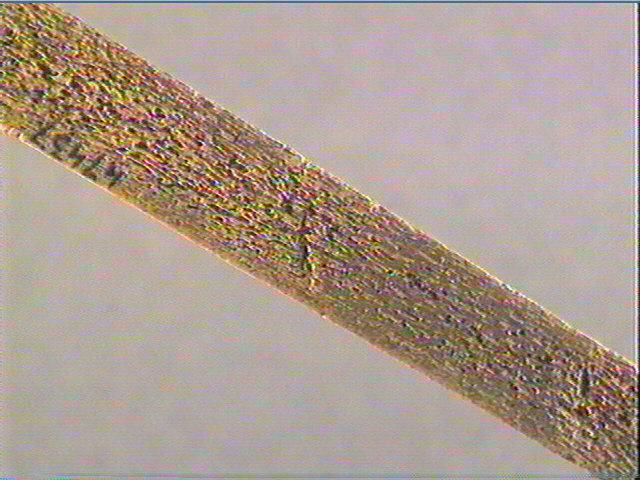 Baguette demi-ronde_6