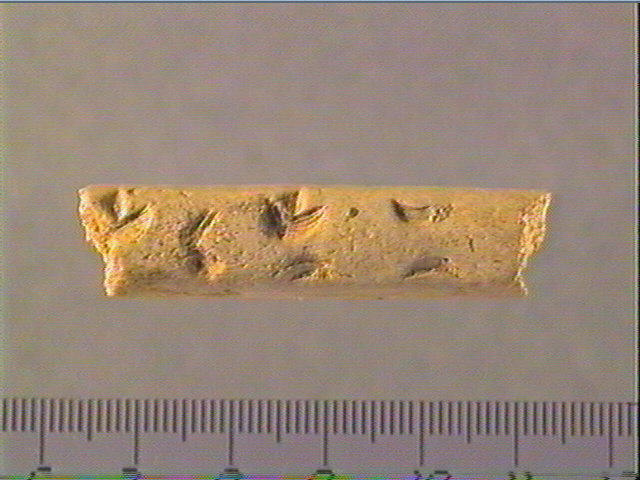 Baguette demi-ronde_0