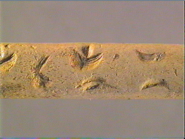 Baguette demi-ronde_2
