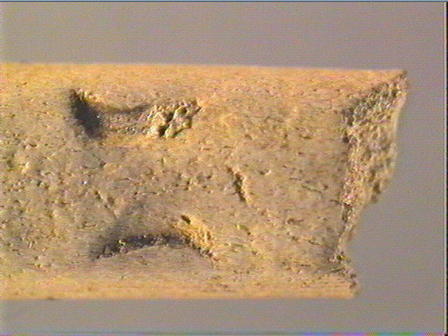 Baguette demi-ronde_3