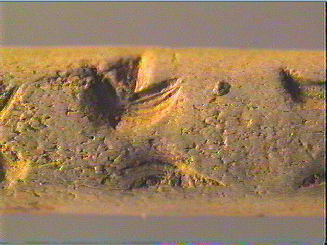 Baguette demi-ronde_4
