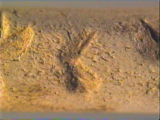 Baguette demi-ronde_5