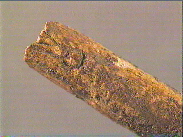 Baguette demi-ronde_1