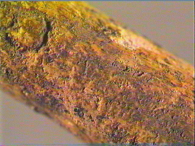 Baguette demi-ronde_3