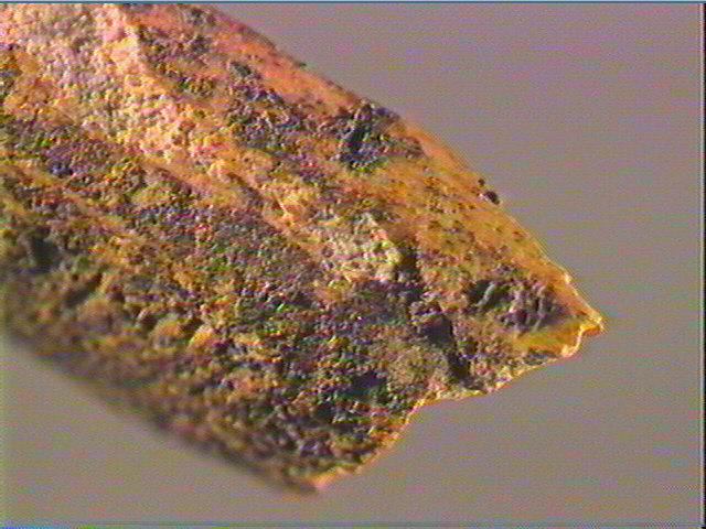 Baguette demi-ronde_5