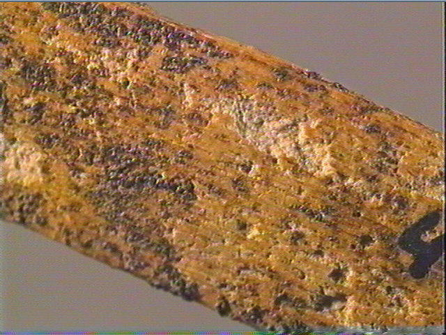 Baguette demi-ronde_6