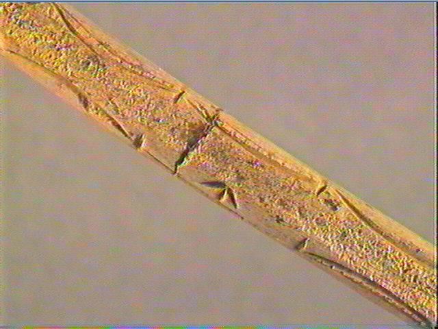 Baguette demi-ronde_3