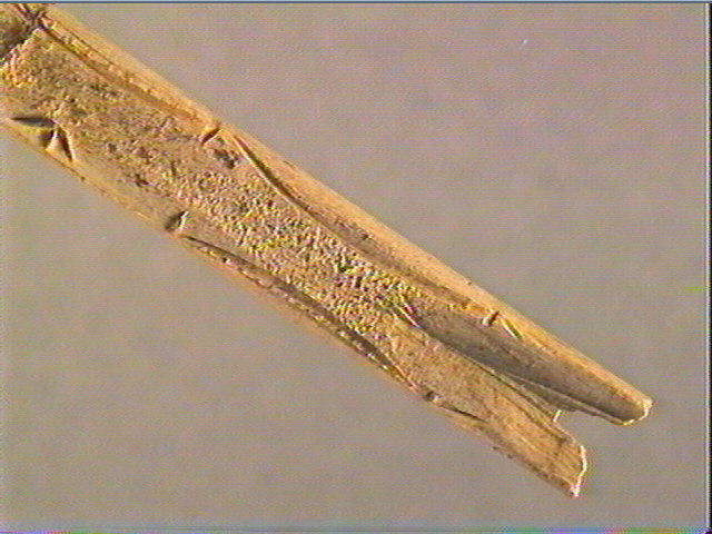 Baguette demi-ronde_4