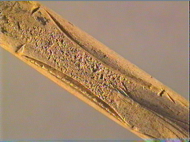 Baguette demi-ronde_5