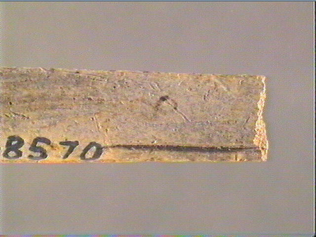 Baguette demi-ronde_1