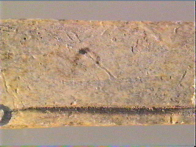 Baguette demi-ronde_3