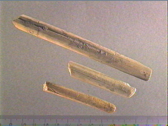 Baguette demi-ronde_0