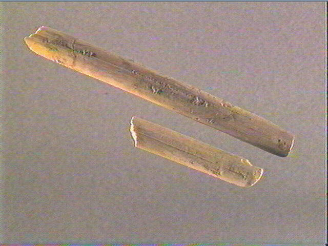 Baguette demi-ronde_4