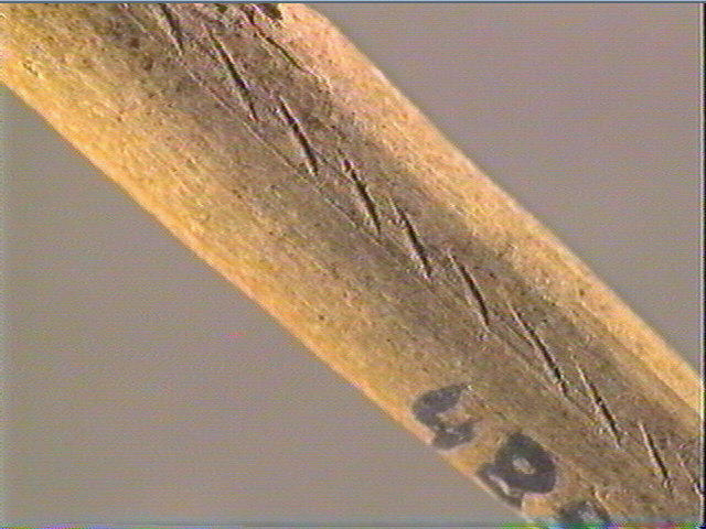 Baguette_5
