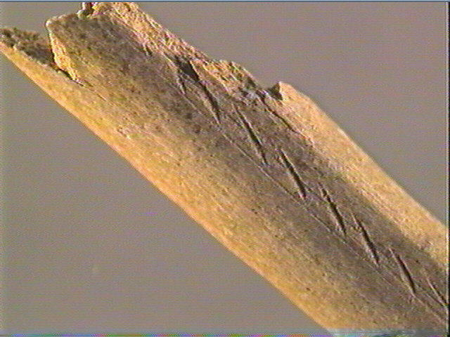 Baguette_6