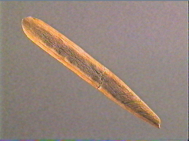Baguette demi-ronde_0
