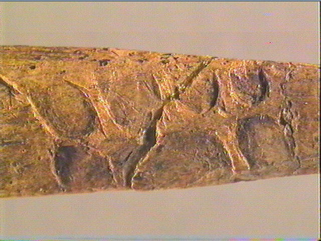 Baguette demi-ronde_2
