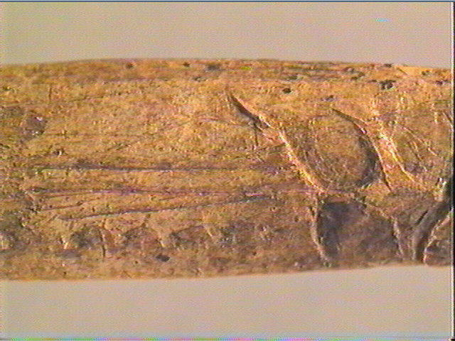 Baguette demi-ronde_3