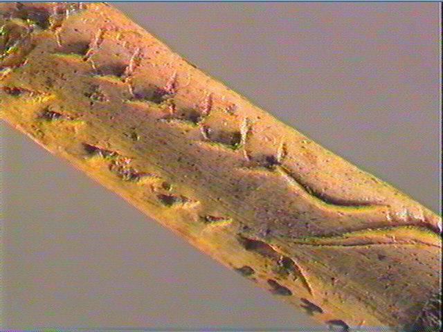 Baguette demi-ronde_6