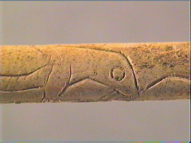 Baguette demi-ronde_3