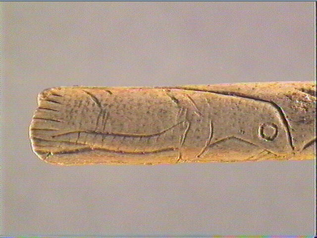 Baguette demi-ronde_1