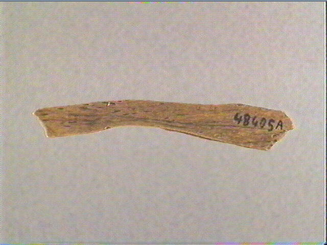 Lissoir, côte_2