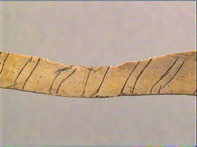 Lissoir, côte_5