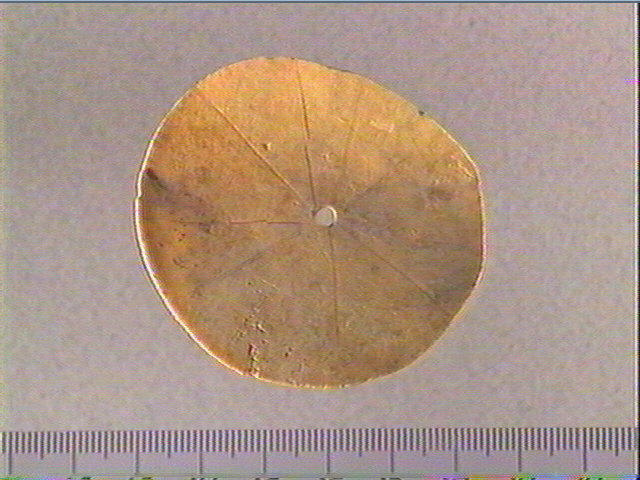 Rondelle, scapula_0